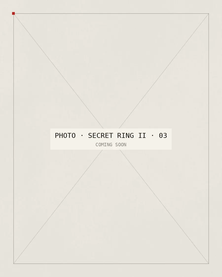 Secret Ring II, photo 3